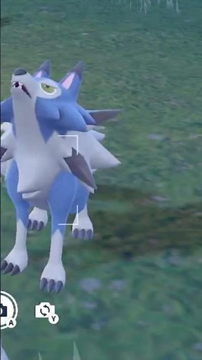 Pokémon Scarlet and Violet - How to evolve Rockruff into Lycanroc #johndgaming
