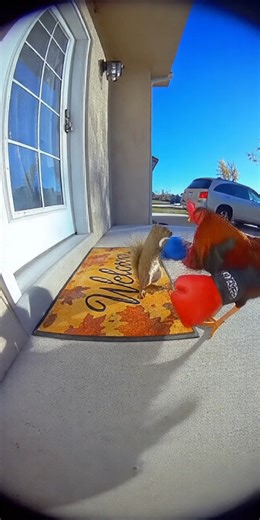 Bella Constrution EP -10#explorepage | Bella Construction