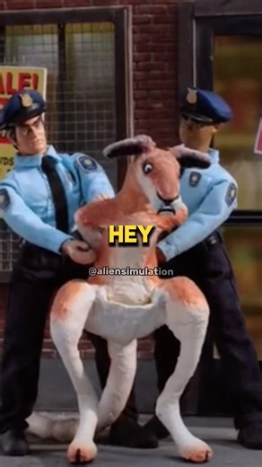 Kangaroos Are INSANE Actually - Robot Chicken Short Edit