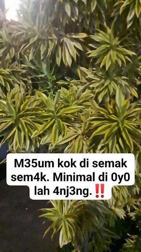 10K views · 19 reactions | Dasar gak modal. #fypシ゚ #iklanreels #fbreels #fyp #fyp代做 #facebookreels #videoreels #reels #viral #cantik #edukasi #tips #trik #tutorial #bantu #reelsindonesia | Salsa Bunga | Facebook