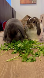 7.7K views · 1.2K reactions | Sandra Bennett QVC on Reels | Facebook