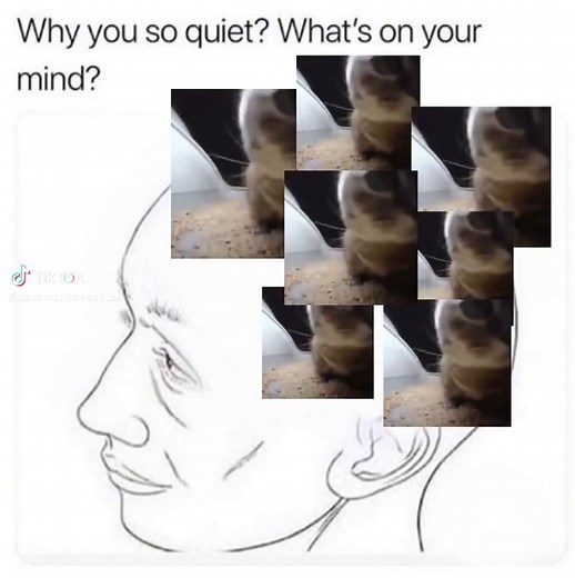 Caramelldansen: Oia Cat Dance Challenge