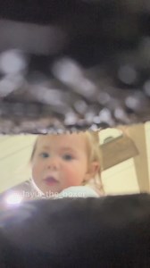 1.2M views · 42K reactions | Here’s how we got the various scenes from our Oreo skit  #funnydogs #doghumor #dogskit #skit #dogsactor #dogvideos #cutedogs #comedy #comedyskit #funnydogvideos #dogmom #doglover #dogtrend #behindthescenes | Layla the Boxer | Facebook