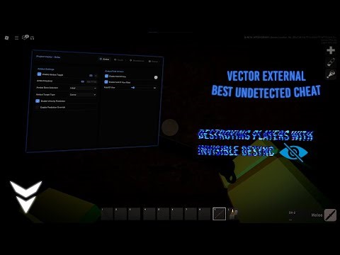 PROJECT DELTA CHEATER DESTROYS SERVER | VECTOR EXTERNAL