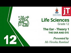Gr 12 Life Sciences - The Ear and Eye - Theory 1