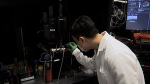 Deep-Tissue Three-Photon Fluorescence Microscopy in Intact Mouse and Zebrafish Brain