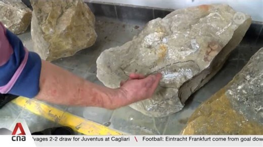 Fossils helping to save Australia's endangered species from effects of climate change