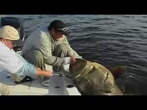 DMAX Angeln Hooked Abenteuer Auf der Jagd Doku 3