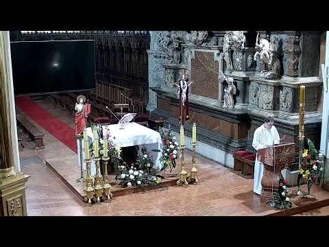 NA ŻYWO Msza Św. | Tarnów Katedra | 12.04.2026 07:00