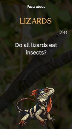 Fact about Lizard 24 - Do all lizards eat insects?