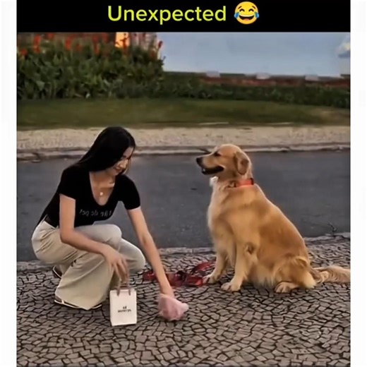 Magic Glitched 🤯✨