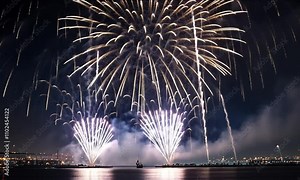 Brilliant Fireworks Extravaganza Showcasing Radiant Colors and Awe-Inspiring Nighttime Displays