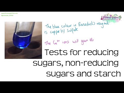 Benedict's test for reducing sugars, non-reducing sugars and starch | Revision for Biology A-Level
