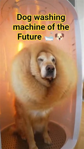 THIS DOG WASHING Machine Is From the Future 🤖🐶 #shorts
