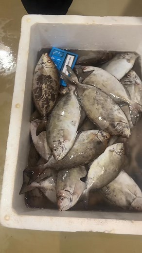 Adel Mohamed Abonar on Reels