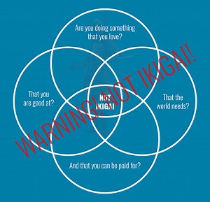 The Find Your Ikigai Course - Ikigai Tribe