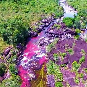 Caño Cristales River, Colombia | Wonders of Universe