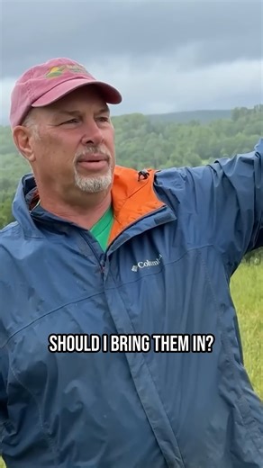 Learning from a Grazing Guru #farm #farmlife #grazing #grass #fblifestyle | Gold Shaw Farm