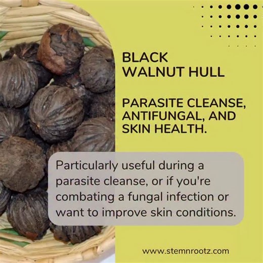 🌰 Black Walnut Hull (Juglans nigra) Benefits Black walnut hull is the outer shell of the black walnut fruit. It has been used traditionally in herbal medicine for digestive support, parasite cleansing, and skin health. 🪱 1. Natural Antiparasitic Traditionally used to help expel intestinal worms and parasites. Contains compounds like juglone, tannins, and iodine that may create an inhospitable environment for parasites in the gut. 💧 2. Digestive Support Can help improve digestion and reduce bl