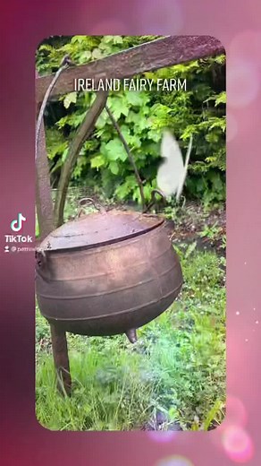 Pat Noone’s Ireland Fairy Farm! Most magickal place! A real fairy fort, fairy tree and so so many fairies! Fairies are indeed real! #fairymagic #ireland #witchesofinstagram #witchesofig #pattinegri #magickal #witchcraft #faery #faerywitch | Patti Negri Psychic Medium