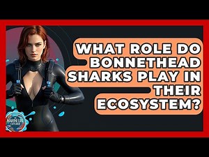 What Role Do Bonnethead Sharks Play In Their Ecosystem? - The Marine Life Explorer