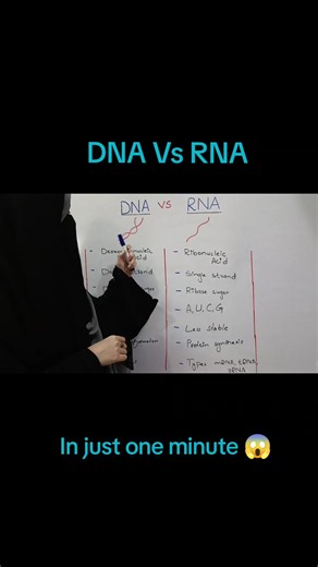 DNA vs RNA: Key Differences Explained in 1 Minute