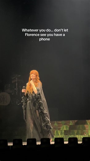 Florence and the Machine Concert Experience