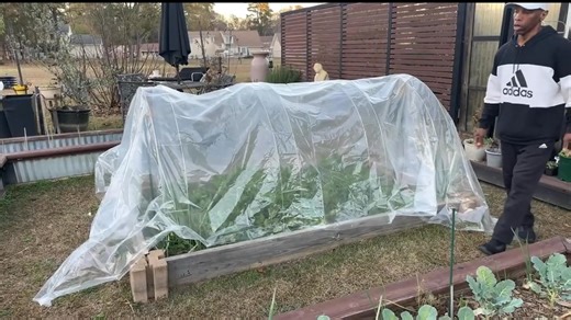 341K views · 12K reactions | 5 Minute Hoop House - Extend your season | Keith Chapman | Facebook