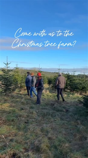 Hiddle Hut on Instagram: "🎄 Buying a real Christmas tree this year? We know the BEST Christmas tree farm to go to and choose your perfect tree! Only a 2 minute drive from Hiddle Hut is @romanwallchristmastrees 🧝‍♀️With wholesale trees being cut from mid-October, buying your tree direct from the grower ensures that you get a premium product! 🤩 If you are like our family and love to start Advent with your Christmas tree and decorations up then you want a tree that is going to stay looking as fr