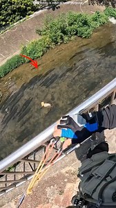 1.5M views · 5.8K reactions | This guy catch small fish . #shortvideo #fact #factvideo#Fact #FunFact #DidYouKnow #InterestingFact #FactOfTheDay #QuickFact #RandomFact #FactCheck #LifeFact #ScienceFact #HistoricalFact | Facts World 2.0 | Facebook