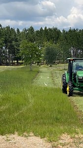Awesome Sickle Bar Hay Cutting with John Deere #johndeere #hay #sicklebar #pasture #mowing #cutting | Piney Grove Homestead and Mini Farm