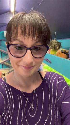 29K views · 1K reactions | Why is the wheel of guinea pig of the day, getting smaller?! Where’s all the guinea pigs?! | Masons' Cavies | Facebook