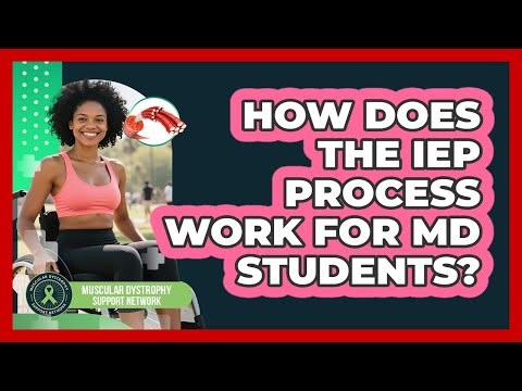 How Does the IEP Process Work for MD Students?