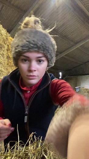 Someone teach me to dance #fyp #agriculture #equine #foryoupage #countrygirl #farming #trending #lechameau