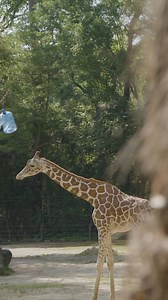 19 reactions | Summer adventures are waiting for you. From the rivers to the zoo & museums to markets there’s fun for everyone in Columbia! | City of Columbia Government | Facebook