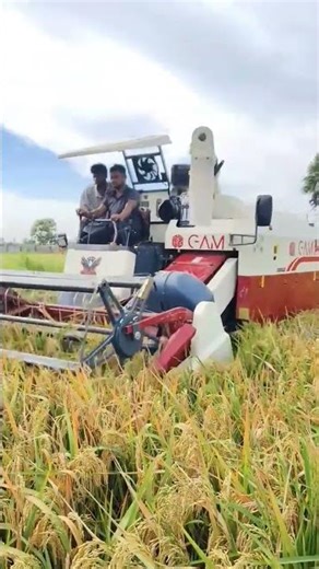 🌾 రైతన్న బలం | Raithanna Balam | Short Video Telugu#telugushorts