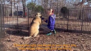 Petorldog 32" Metal Dog Playpen, 8 Panels Portable Fence for Indoor & Outdoor Use (Black-Silver)