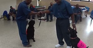 Michigan prison teams up with dog rescue group