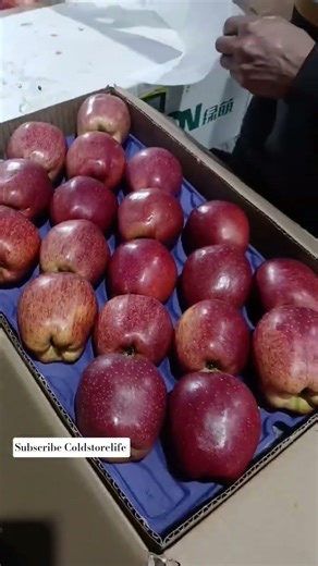 Apple sorting Grading line Packaging #fruit #satisfying #farming #machine #apple