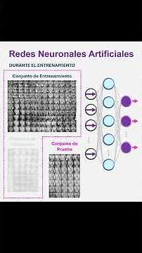 Neural Network Training, Testing, and Validation #datascience #mathematics #machinelearning #ai
