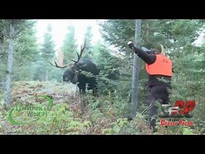 Jason VS Bull Moose