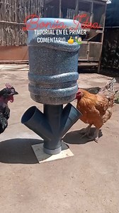 67K views · 827 reactions | Comedero automático 旅閭 tutorial completo en el primer comentario ‍♂️. | Bonita Idea | Facebook