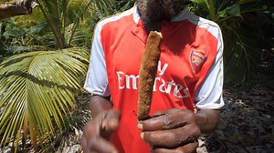 Mosquitos all up in your zone? Try this natural hack from Rasta Devon! Take a young "Breadfruit Baby" or "Breadfruit Doll", dry it out, light it, and mosquitos are GONE! | Ras Kitchen