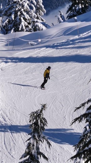 The Evolution of Skiing Techniques