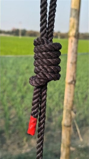 It's Hangman's Knot.