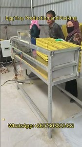 Egg Tray Making Machine | Production and Packing Process