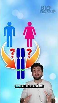 Punnett Square and Mendel's Law of Segregation #biology #genetics #punnett #mendel