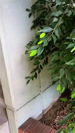 Upcoming Star Wars A-Star Release Date