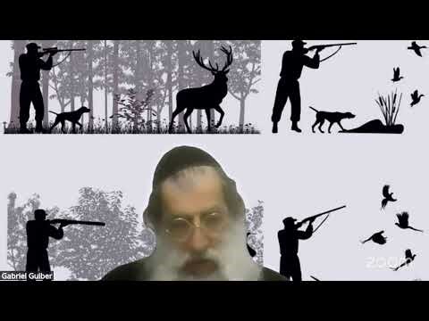 2 Halajot Shabat diarias - cazar