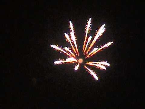 Crackling Palm Tree Firework Shell